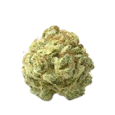 bud